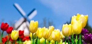 ABN AMRO: Groei Nederland houdt aan in 2016 en 2017