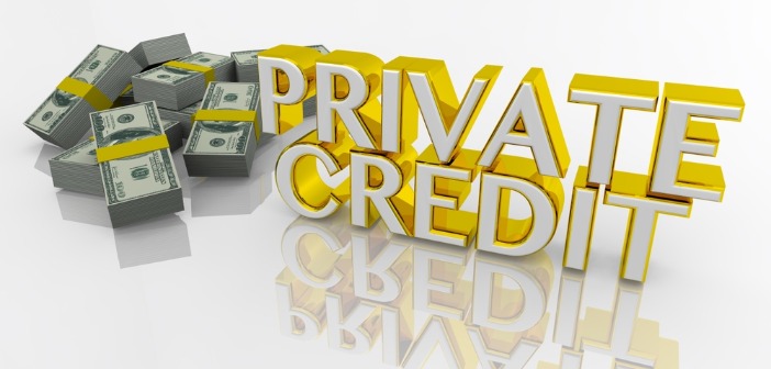 Video: private credit is geen systeemrisico