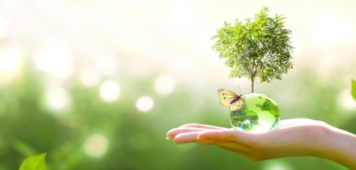 Oaklins: ‘Europese batterijsector in het vizier van investeerders’