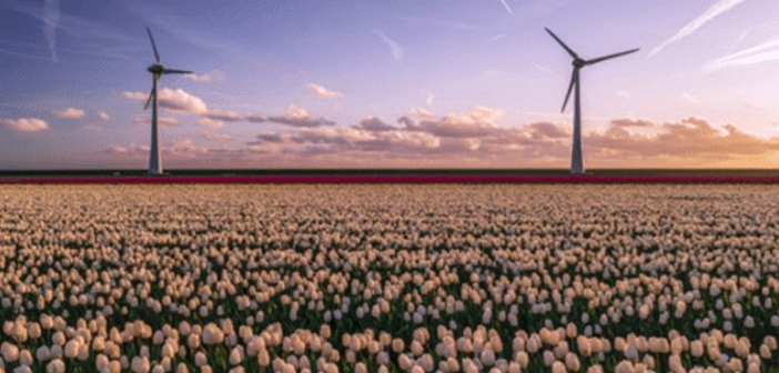 Schroders: ‘Amerikaanse energietransitie draait steeds minder op subsidie’
